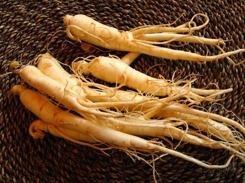 ginseng rod for at øge styrken efter 60